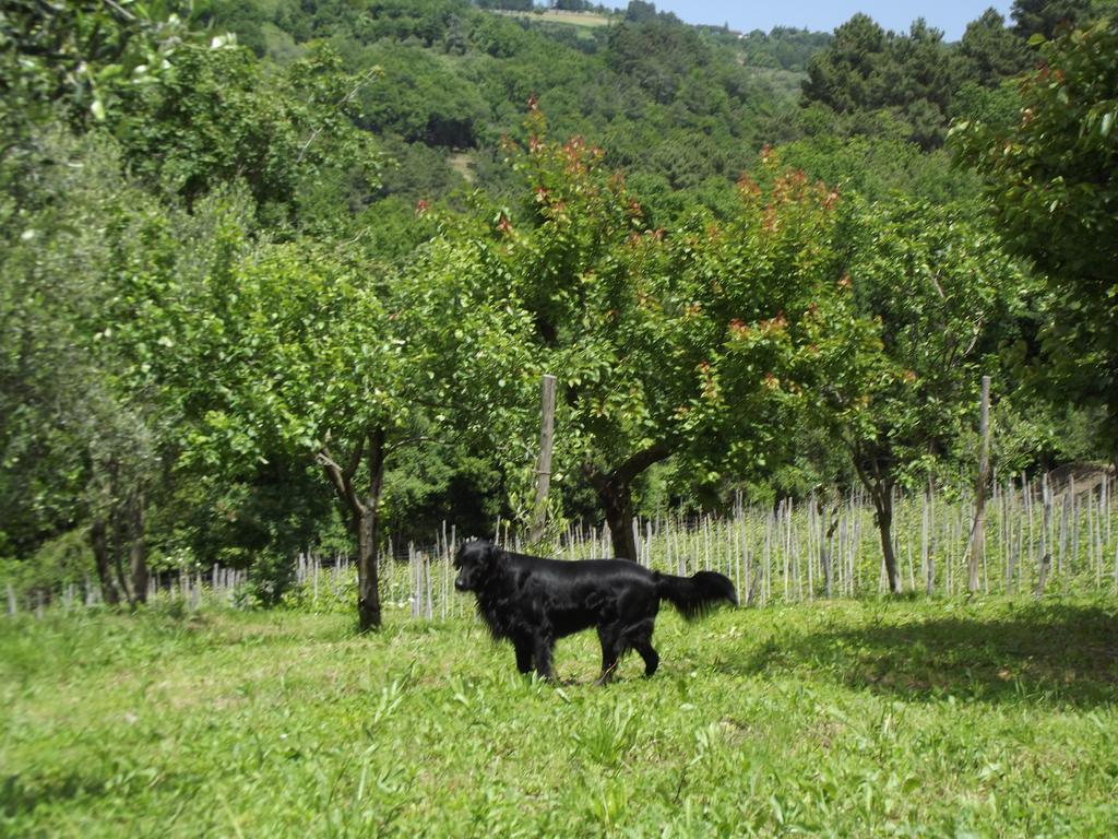פוסדינובו Agriturismo Brasino חדר תמונה