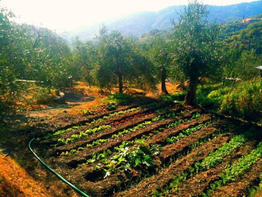 פוסדינובו Agriturismo Brasino חדר תמונה