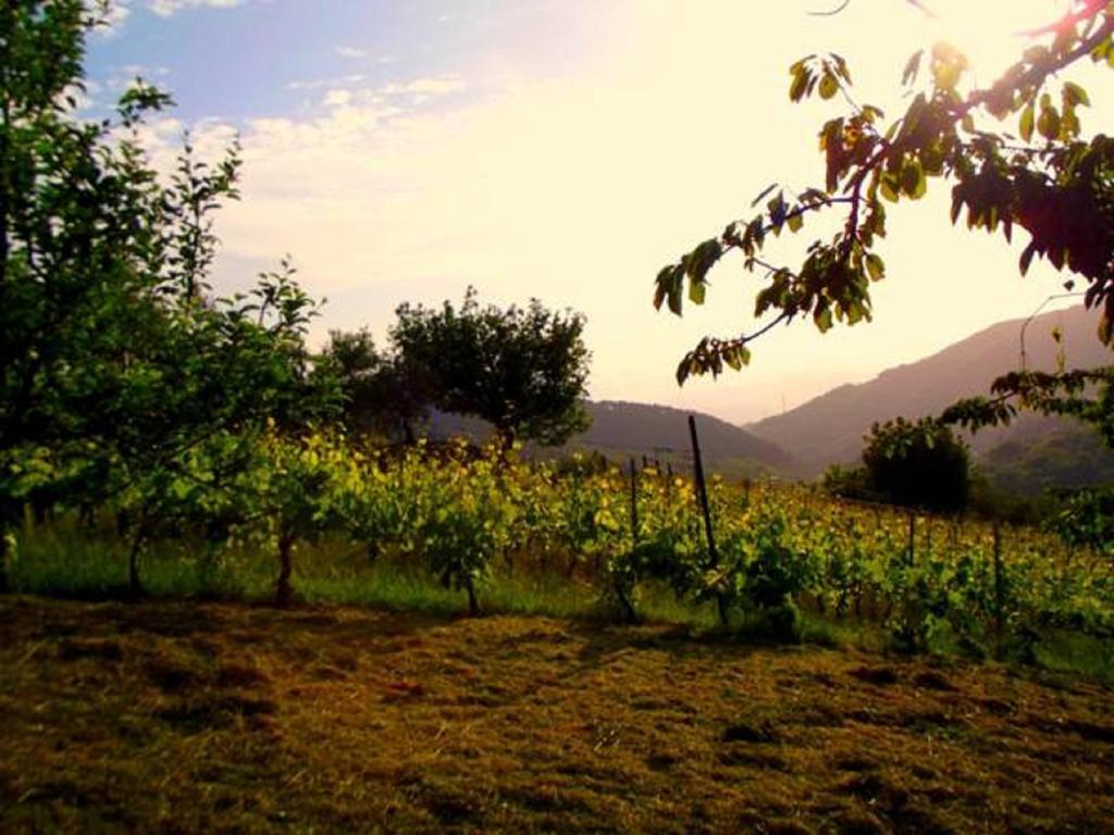 פוסדינובו Agriturismo Brasino חדר תמונה
